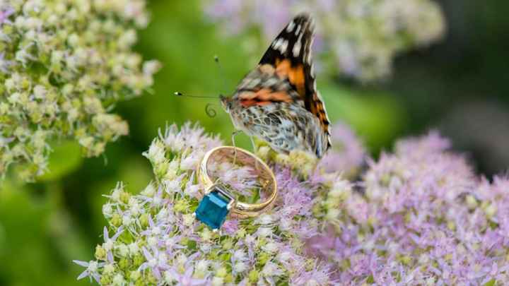 Let me see those pretty rings!!