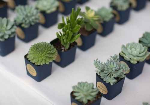 Show me your fun decor!