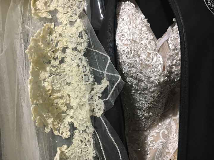 Yellowed Vintage Veil - 1