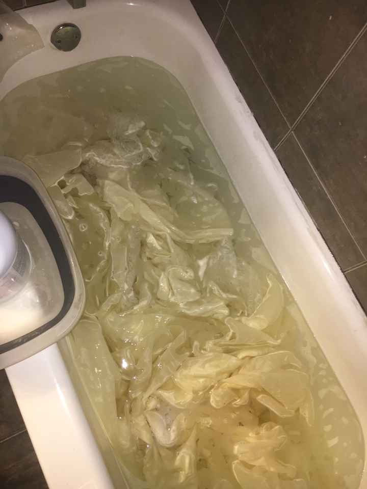 Corpse Bride Soup - 2