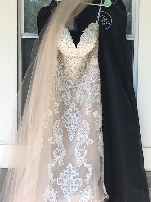 my dress