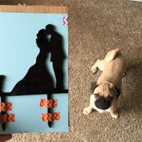 Show me your...Cake toppers!