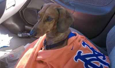 Adopted our 1st baby! (PICS)