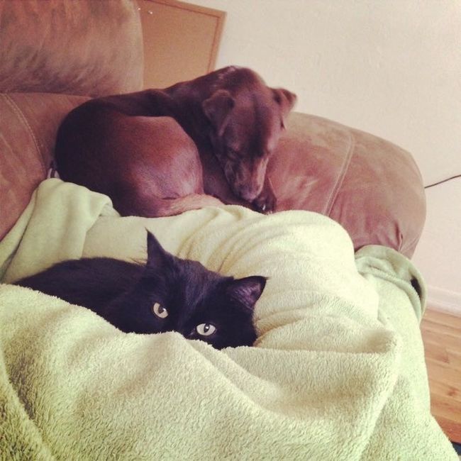 NWR Animal Lovers