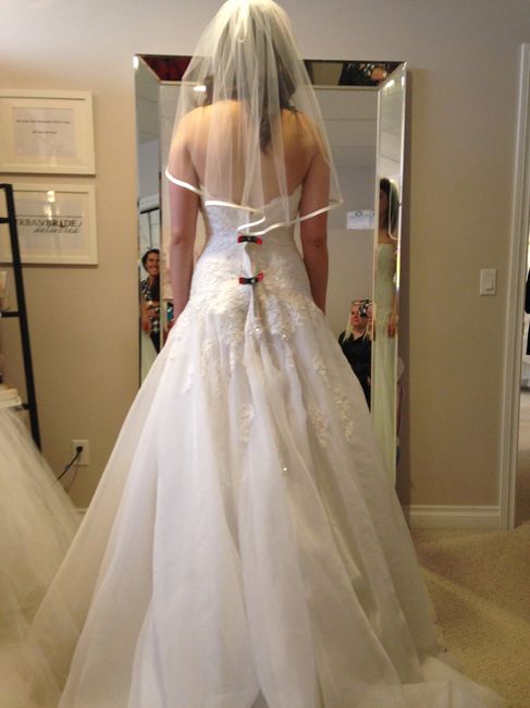 Veil advice