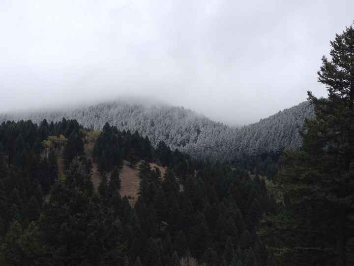 Photography/Day of Scheduling Tip