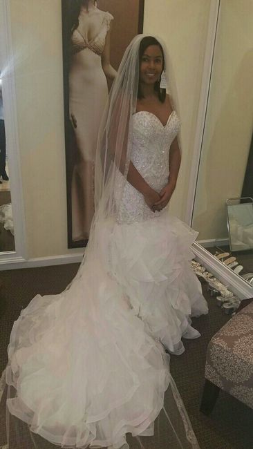 My dress is in!!!