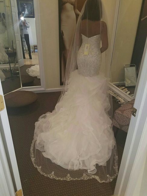 My dress is in!!!
