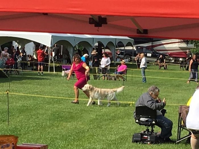 NWR: National Dog Day!