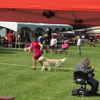 NWR: National Dog Day!