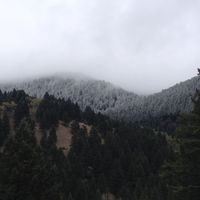 Photography/Day of Scheduling Tip