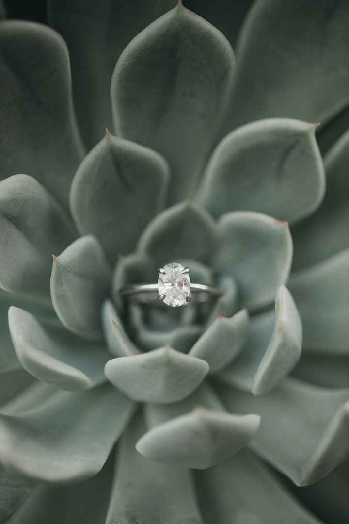 Brides of 2021! Show us your ring! - 1
