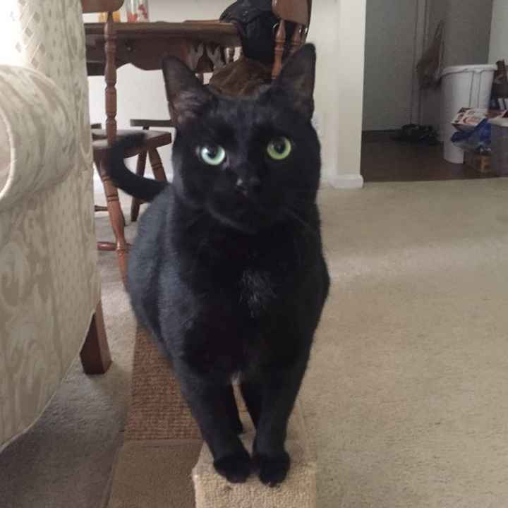 Just saying hi