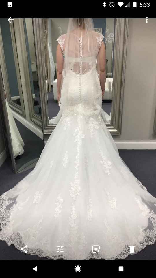 Second dress fitting - bustle concerns - 1