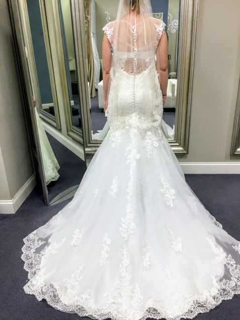 To Veil or Not To Veil? - 1