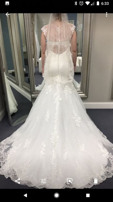 Second dress fitting - bustle concerns 2