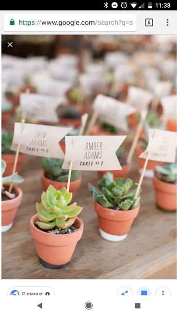Centerpieces with cactus? - 1