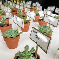 3-in-1 Place cards, meal choice and favors - wording help! - 1