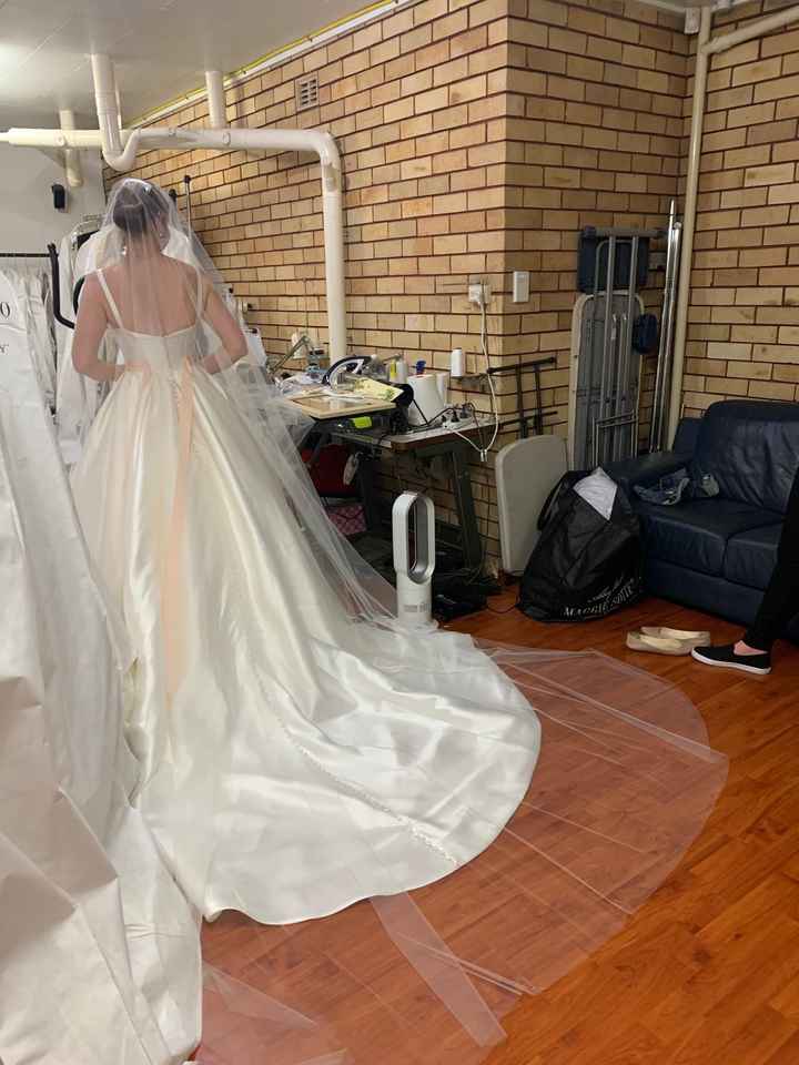 i had my final fitting and got my veil! - 1