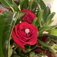 2024 Brides - Show us your ring! - 1