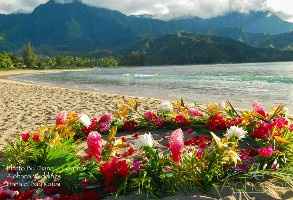 Flower Circle