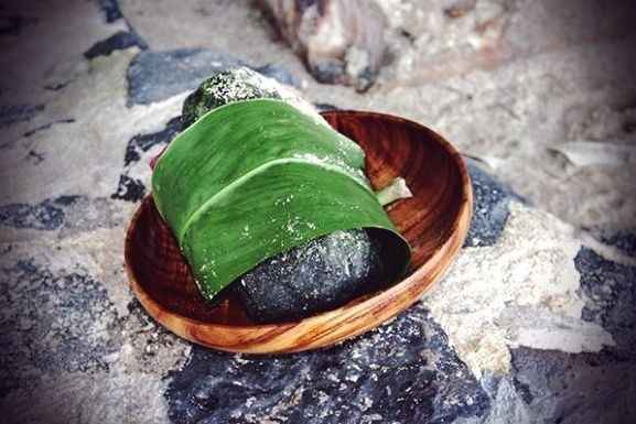 Ti Leaf and Lava Rock 
