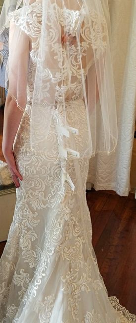 Dress decisions: what about the back? - 1