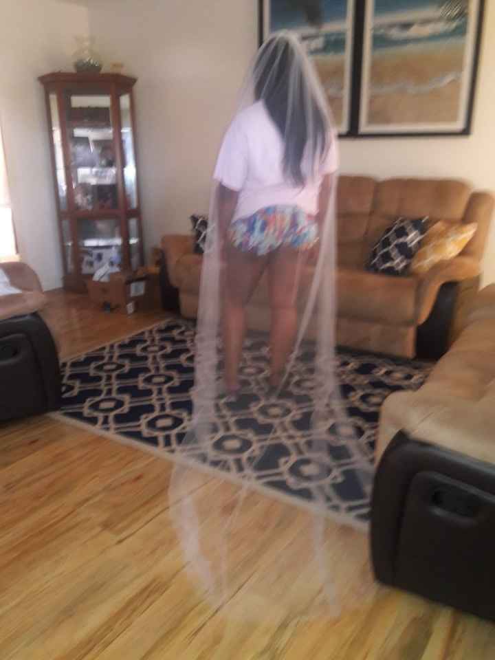 Does my veil match my dress? - 1