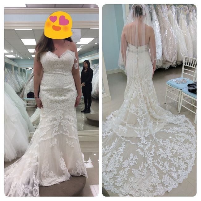 Yes to the Dress!! Or did I ? Helppp