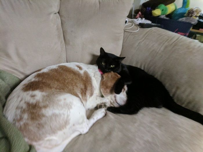 Rough day.
