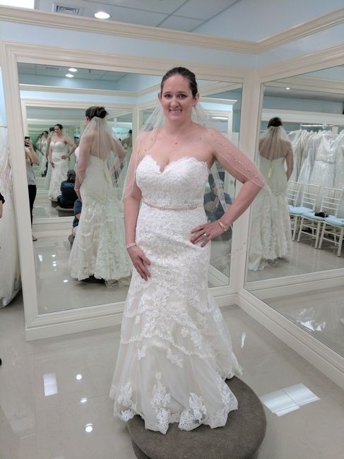 Veil help??