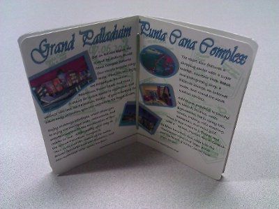 DIY Passport STD / Informal Invite *Pics Included*