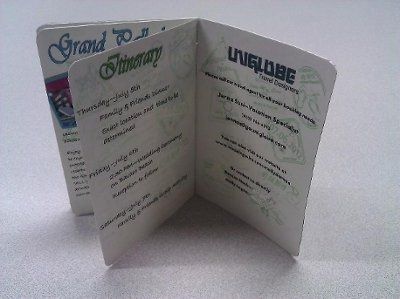 DIY Passport STD / Informal Invite *Pics Included*