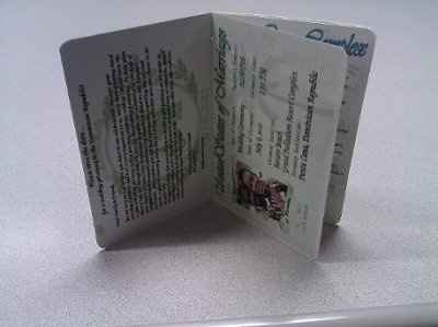 DIY Passport STD / Informal Invite *Pics Included*