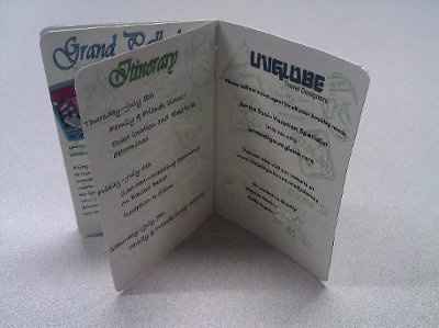 DIY Passport STD / Informal Invite *Pics Included*