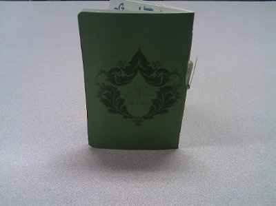 DIY Passport STD / Informal Invite *Pics Included*