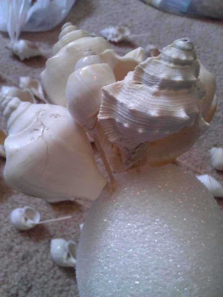 Beach Brides...  or Beach theme wedding.  DIY Seashell Bouquet (w/pictures)