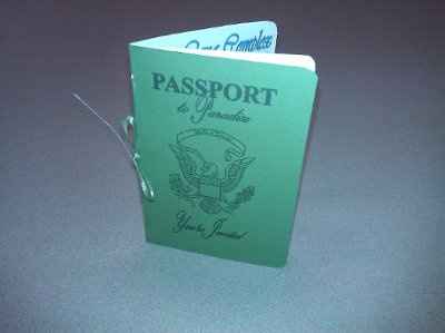 DIY Passport STD / Informal Invite *Pics Included*