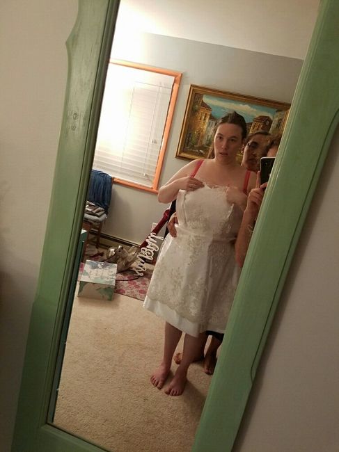 Let me see your DRESS!