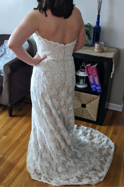 Two Dresses: Strapless or Sheer Back