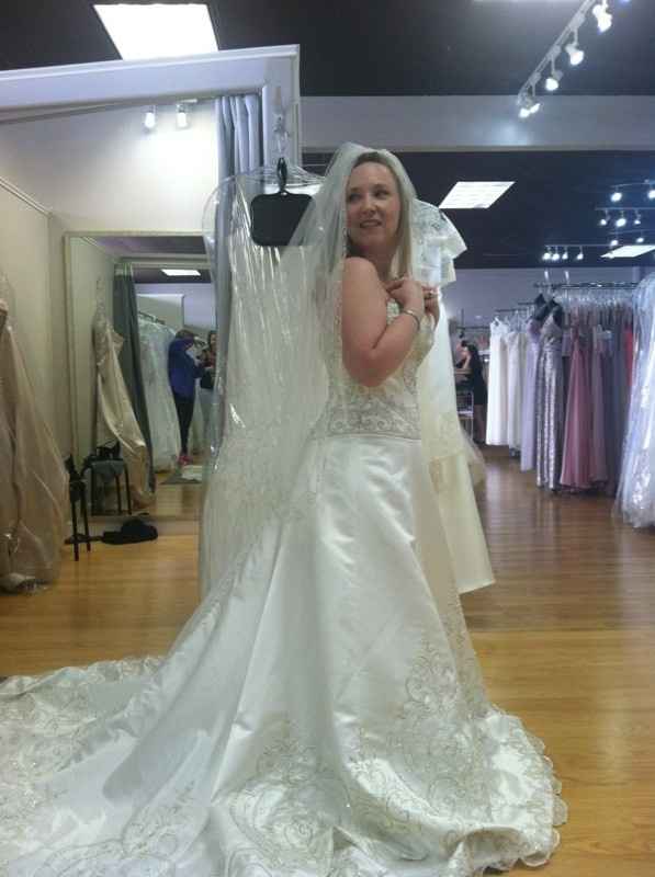 I Want To Love My Dress, But Don't