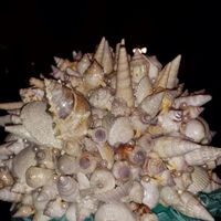 DIY seashell bouquet complete!