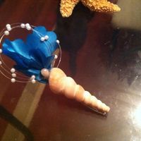 Seashell hair clips--opinions on a favorite?