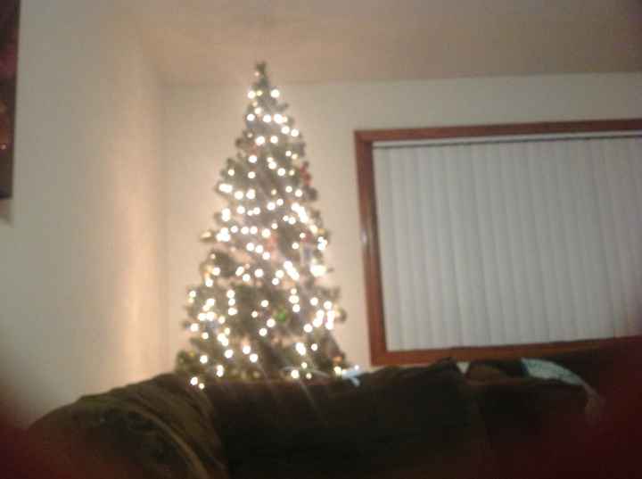 Its beginning to look like Xmas!!