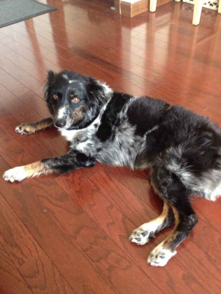 Christmas came early !!! Cuteness overload