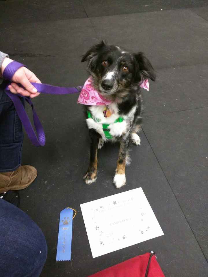 Its Fursday! Show me your furbabies! :)