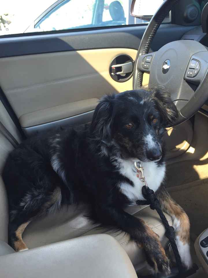 NWR - Furbaby Friday