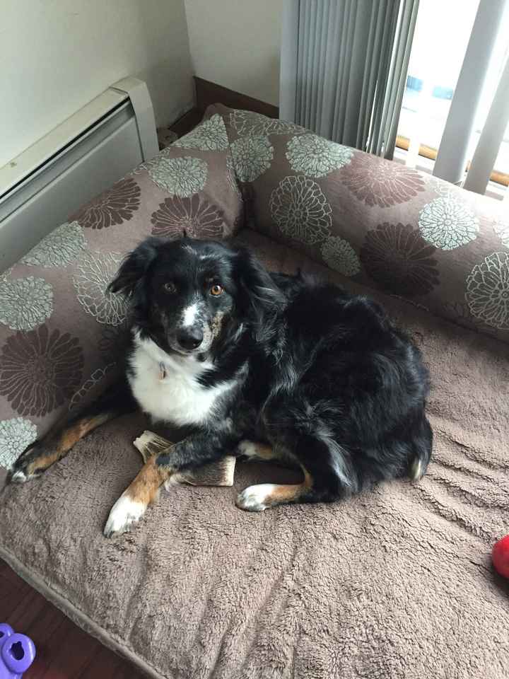 NWR Happy Fursday!!!