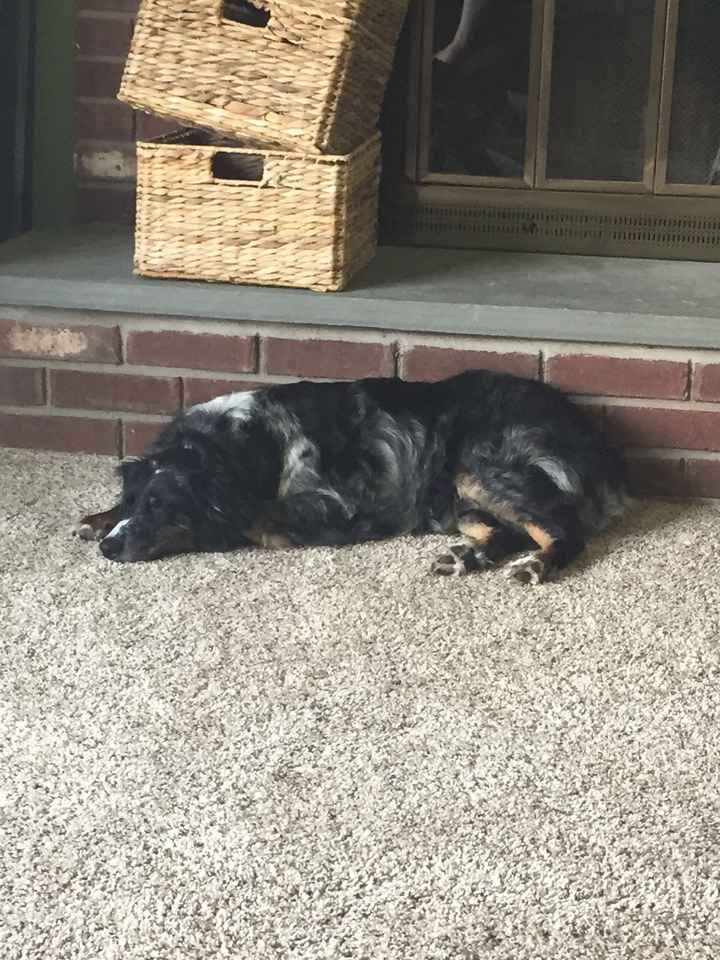 Happy Fursday Everyone!! :)