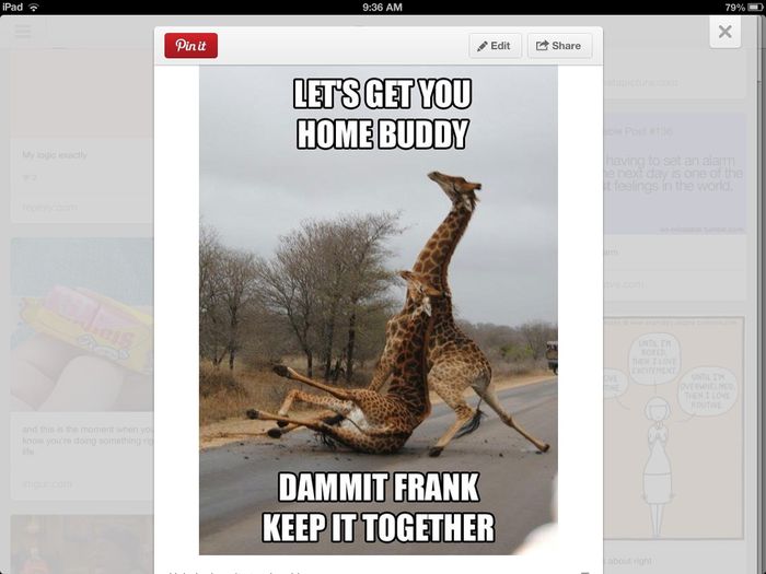 Just for Giggles.